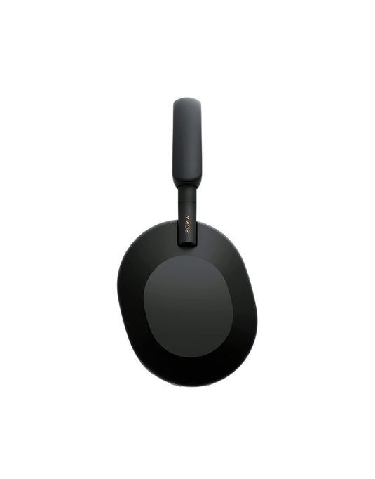 Link headphone WiFi 6 mesh