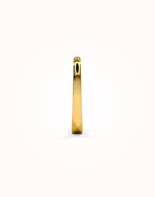 Adney hoop earrings