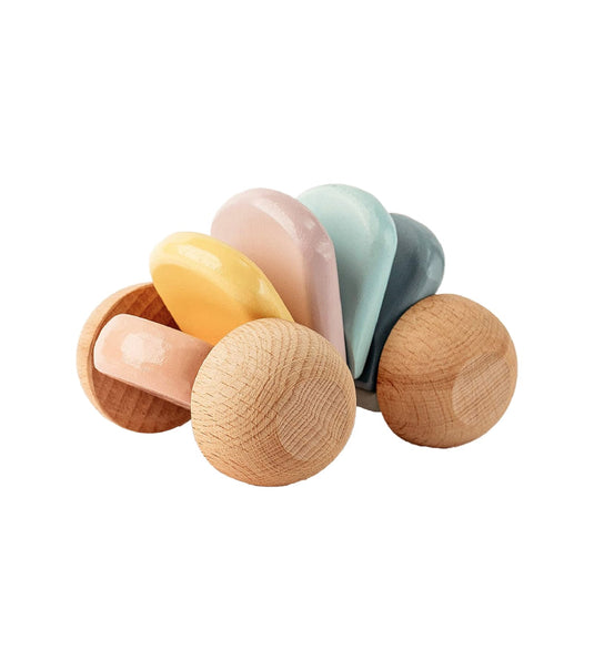 Wooden push and pull car