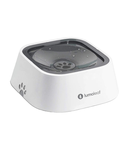 Pets water bowl
