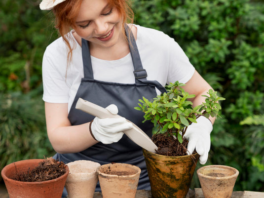 A garden without plants is like a canvas without colors.