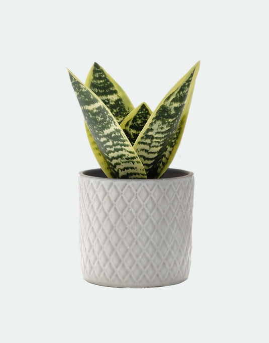 Artificial potted plant