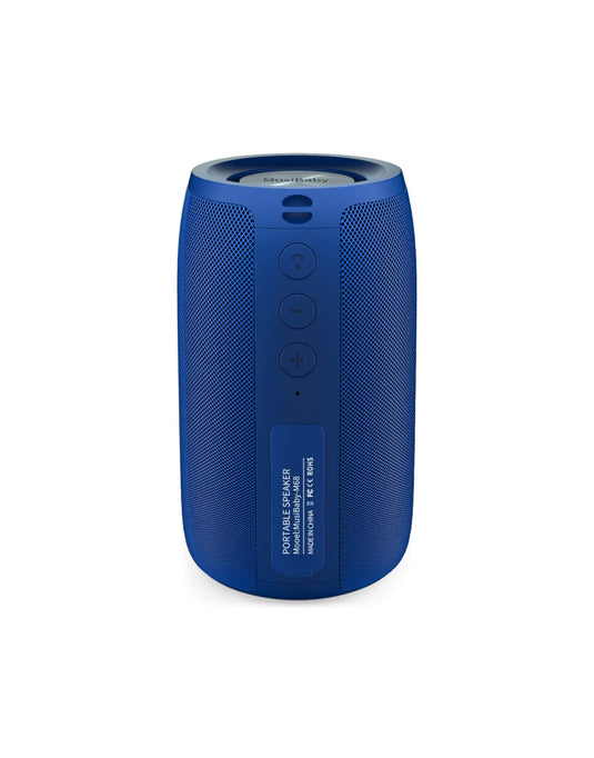 Wireless speaker dual pairing bluetooth 5.0