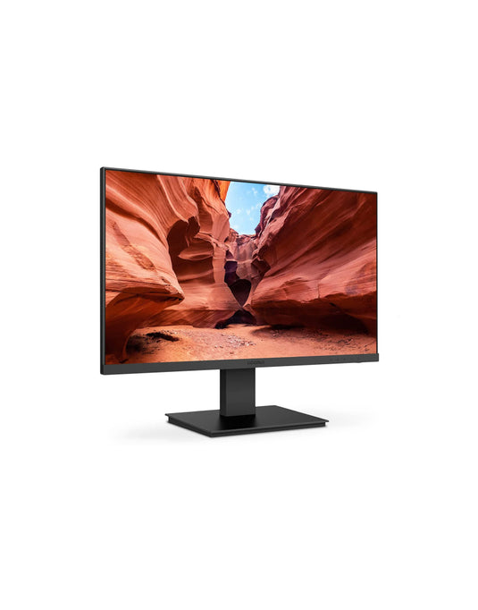 Business computer monitor full HD