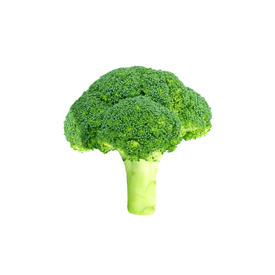 Fresh broccoli