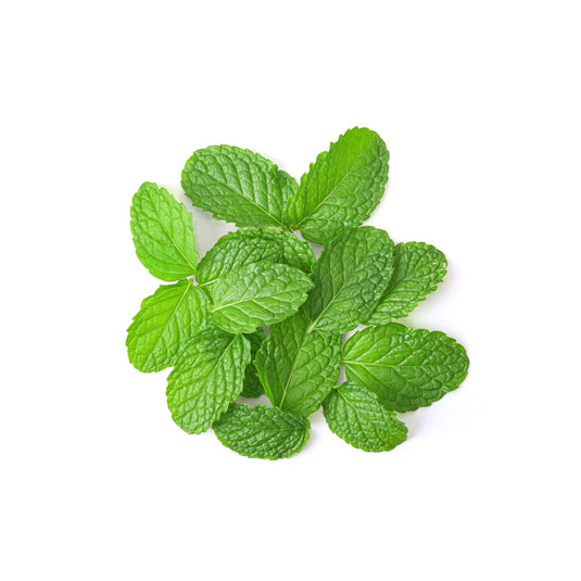 Mint leaves