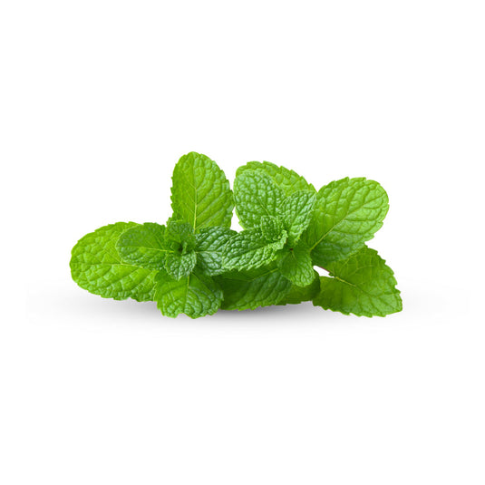 Mint leaves