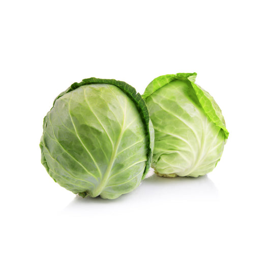 Fresh organic cabbage
