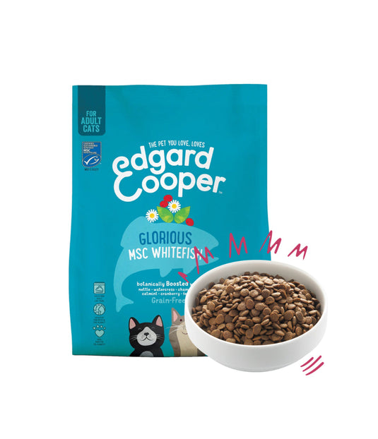 Dry food for adult cats